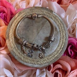 Pandora Charm Bracelet